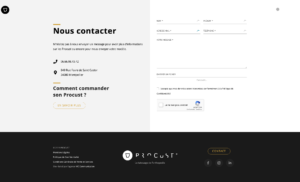 Procust - Web design