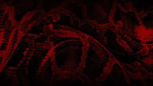 Ecailles de serpent - Retouche images BSR Music Group